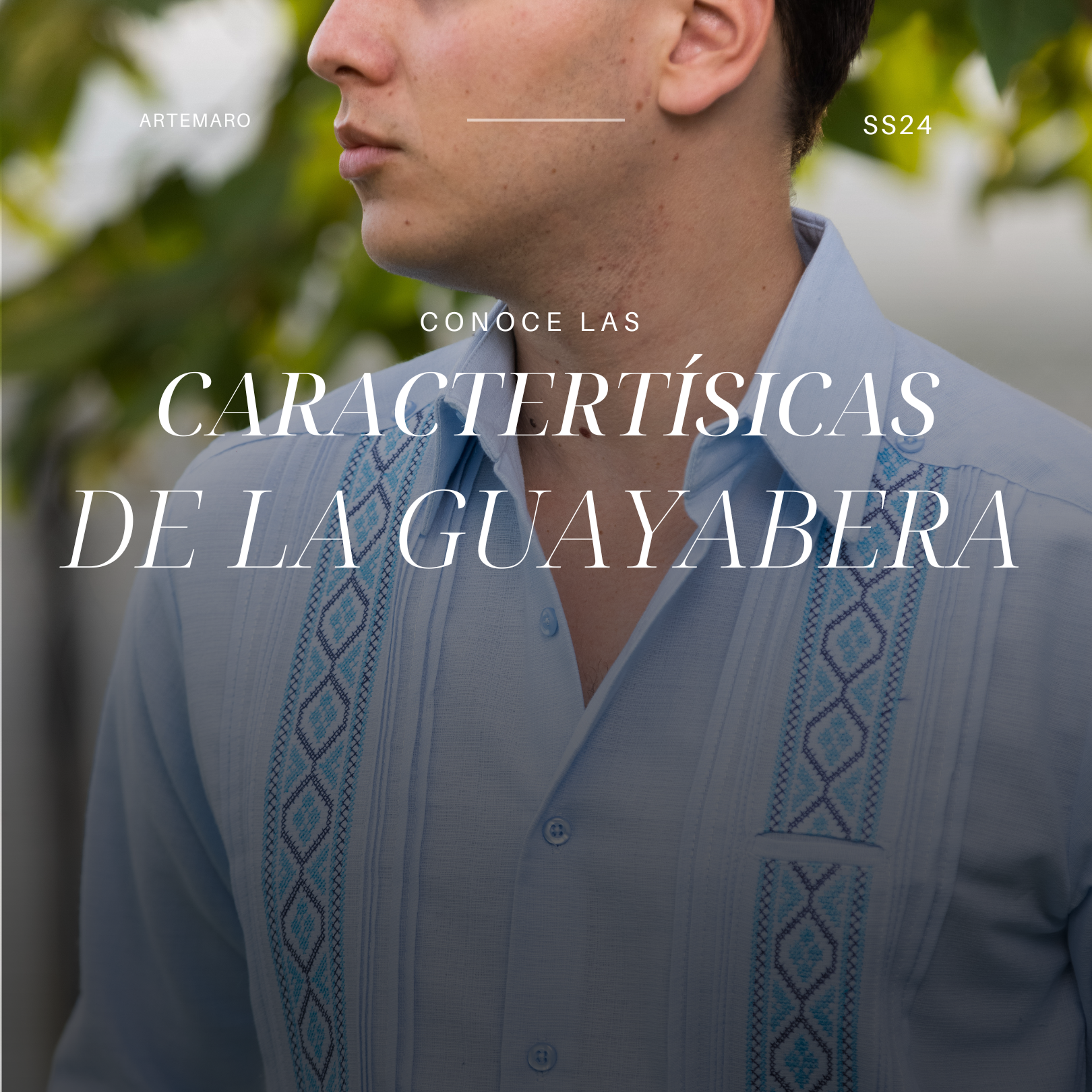 Características de la Guayabera